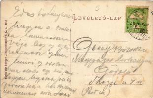 Negoj-csúcs, Negoi (Fogarasi havasok); Valea Sarati. Verlag der Sektion "Hermannstadt" S.K...