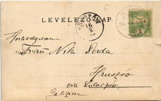 1903 Holics, Holic; szőlőskert és borospince, híd / vineyards and wine cellar, bridge. photo (szakad...