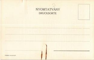 Vaterländische Transport Aktiengesellschaft. Budapest V. Váci út 6. reklám / Fatherland Transport Co...