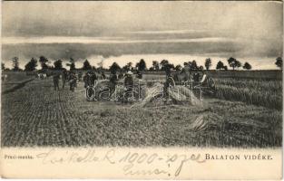 Balaton vidéke, praxi-munka. D.K.F.E. 906.