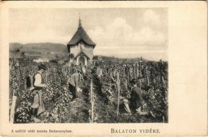 Badacsony, A szőlőt védő munka, permetezés a szőlőhegyen. Balaton Vidéke. D.K.F.E. 891.