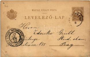 1898 (Vorläufer) Budapest VIII. Ezredéves Országos Kiállítás, Nemzeti Múzeum és Kálvin tér, villamos...