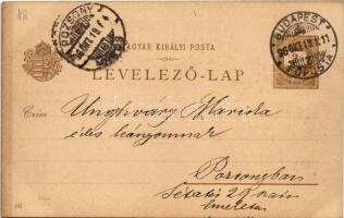 1896 (Vorläufer) Pozsony, Pressburg, Bratislava; Ezredéves Országos Kiállítás, Dévényi vár, gőzhajók...