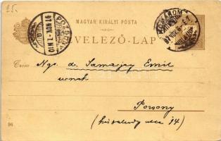 1897 (Vorläufer!) Nagy Lajos. Ezredéves Országos Kiállítás / Louis I of Hungary. Hungarian Millenniu...