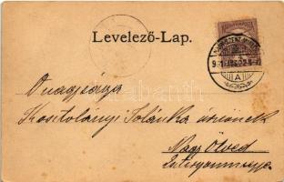 1901 Nagyszentmiklós, Sannicolau Mare; Arankavidéki belvíz véd- és levezetési társulat, Popper Alfré...