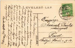 1910 Selmecbánya, Schemnitz, Banská Stiavnica; Alsó Rózsa utca. Joerges 1910. / street