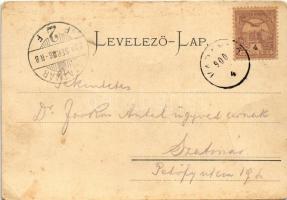 1900 Varannó, Vranov nad Toplou; Gróf Hadik-Barkóczy kastély, Magyar Korona vendéglő, Fő tér, Termén...