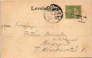 1902 Zólyom, Zvolen; Vár és bírósági hivatal / castle and court office. Art Nouveau, floral (fa)