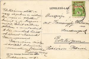 1915 Törökkanizsa, Nova Kanjiza, Novi Knezevac; Vitéz Tallián Emil szobor, Járásbíróság. Özv. Schwei...