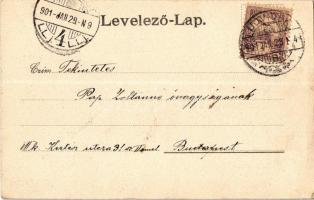 1901 Újvidék, Novi Sad; Igazságügyi palota főhomlokzata. Herger kiadása / palace of justice