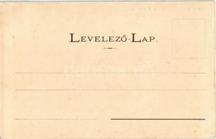 Felsőmagyarországi (felvidéki) népviselet. Wertheim Zsigmond / Oberungarische Bauerntracht / Upper H...