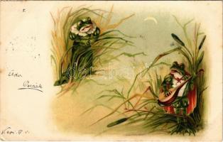 1901 Béka szerenád / Frog serenade. litho (EK)