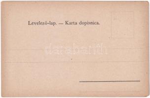 Krapinske Toplice, Krapina-Töplitz; Kola voze iz Zaboka. Art Nouveau litho map