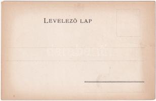 Kolozs vármegye térképe. Kiadja Károlyi Gy. / Map of Cluj county (szakadás / tear)