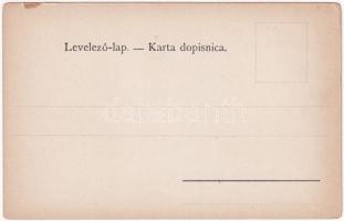 Modrus-Fiume vármegye térképe. Kiadja Károlyi Gy. / Zupanija Riecko-Modruska / Map of Modrus-Rijeka ...