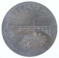 ~1980. "Veszprém" fém emlékérem (100mm) T:2,2-