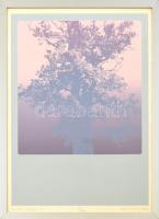 Kocsis Imre (1940-2015): Kamera tájkép, 1982. Szitanyomat, papír. Jelzett. Számozott: 96/100. 52x40 ...