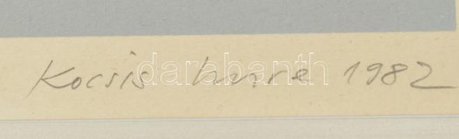 Kocsis Imre (1940-2015): Kamera tájkép, 1982. Szitanyomat, papír. Jelzett. Számozott: 96/100. 52x40 ...