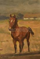 Viski János (1891-1987): Itatás. Olaj, vászon, jelzett. Fa keretben, apró sérülésekkel. 75x100 cm / ...