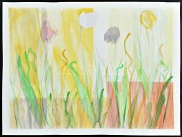 Susanne Rauch (?-): Tulipánok. Akvarell, ceruza, papír, jelzett a hátoldalán, 27×37 cm