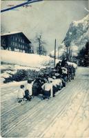 1911 Tailing Party / Winter sport, horse sled towing the sleighers / Téli sport, szánkózok lovasszánnal vontatása (EB)