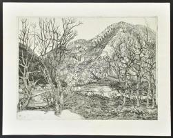 Kádas István (1941-): Hegyvidéki táj (olvashatatlan címmel). Rézkarc, papír, jelzett, számozott 22/5...