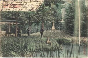 1908 Ponyászka, Poneasca (Bozovics, Bozovici); Halastó. Hollschütz F. kiadása / fish pond (Rb)