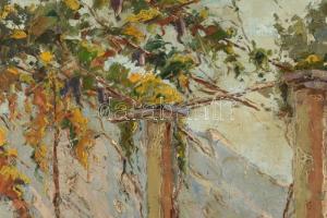 Olvashatatlan (Szabó?) jelzéssel: Napfényes vízparton. Olaj, vászon. Hátoldalán Képcsarnok Vállalat ...