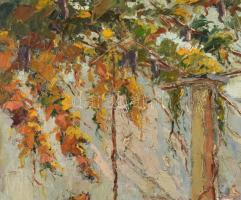 Olvashatatlan (Szabó?) jelzéssel: Napfényes vízparton. Olaj, vászon. Hátoldalán Képcsarnok Vállalat ...