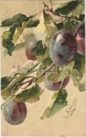 Still life art postcard with plum s: C. Klein (gyűrődés / crease)