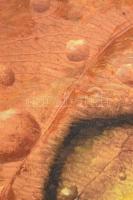 Serafimov jelzéssel: Armageddon II. Vegyes technika, vászon. 59x48 cm