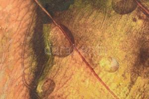 Serafimov jelzéssel: Armageddon II. Vegyes technika, vászon. 59x48 cm