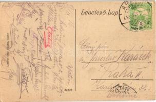 1916 Apatin, Schäffer szálloda, Speiser féle ház / hotel, villa