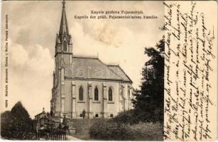 1906 Nekcse, Nasice; Gróf Pejacsevich kastély kápolnája, lovashintó / Kapela grofova Pejacsevich / castle chapel