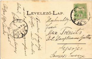 1907 Titel, hajóhíd, lagunák, hajóállomás. Nonnenmacher Endre kiadása / pontoon bridge, port, lagoon...