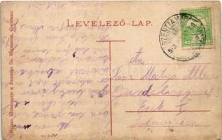 1913 Szenttamás, Bácsszenttamás, Srbobran; községháza / town hall (EB)