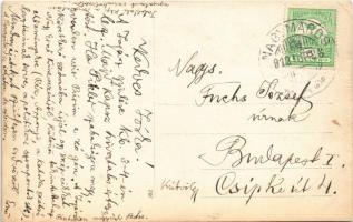 1912 Nagymaros, pihenő szarvasmarhák. photo (EK)