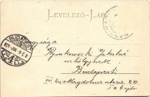 1901 Nagymaros látképe Visegrádról. Zoller József kiadása (EK)