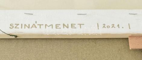 Dévényi János (1956-): Színátmenet. Akril, vászon, jelzett a hátoldalán, fa keretben, 60x60 cm