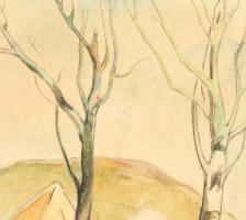 Balogh István (1890-1956): Erdélyi táj. Akvarell, papír, jelzett. Üvegezett fa keretben, 15,5×12 cm ...