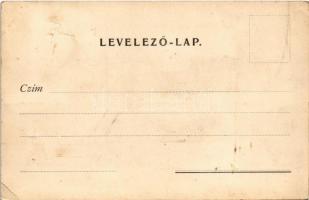 Divény, Diwein, Divín; Balassa Imre várkastélya a Várhegy tövében / castles (fa)