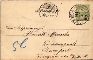 1902 Koritnyica, Korytnica; nyaralók. Ivánszky Elek kiadása / villas + "ZÓLYOM-BRÉZÓ-ZÓLYOM 97....