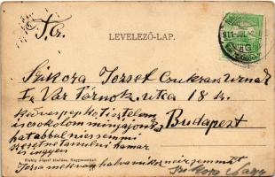 1911 Nagyszombat, Tyrnau, Trnava; Káptalan utca. Fiebig József kiadása / street (EK)