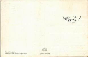 Szepesváralja, Spisské Podhradie; vár a háttérben, tér, templom, autóbusz / castle in the background...