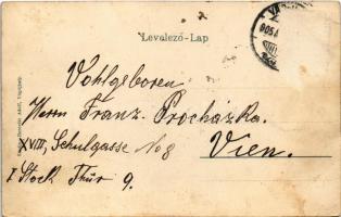 1905 Vágújhely, Waag-Neustadt, Nové Mesto nad Váhom; tér, Horovitz Adolf üzlete és saját kiadása / s...