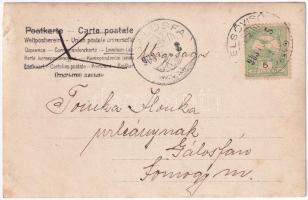 1903 Felsővisó, Viseu de Sus (Máramaros); Suliguli forrás / mineral water sping. photo