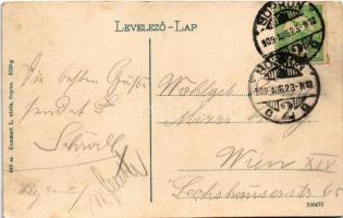 1909 Sopron, Várkerület, utca, Szálloda a fehér rózsához, Kereskedelmi Bank