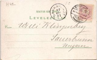 1897 (Vorläufer) Sopron, Ödenburg; Domonkos templom, Fertő tó, Várkerület, Széchenyi István szobor, ...