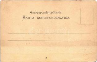 Árvaváralja, Oravsky Podzámok; Árva vára. J. F. Fischer (Kraków) Nr. 46. / Zamki Orawskie (Tatry) / ...