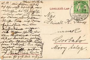 1913 Budakeszi, fürdő intézet